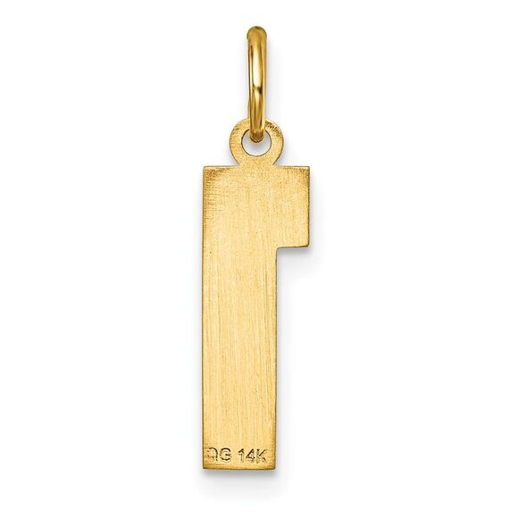 14K Yellow Gold, Varsity Collection, Medium D/C Pendant Number 1 - Picture 3 of 5